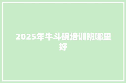 2025年牛斗碗培训班哪里好