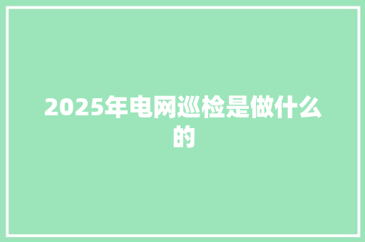 2025年电网巡检是做什么的