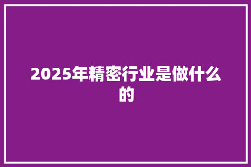 2025年精密行业是做什么的
