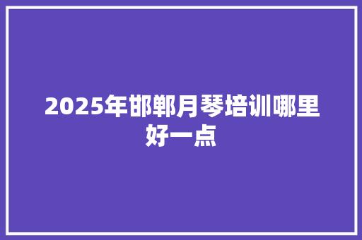 2025年邯郸月琴培训哪里好一点