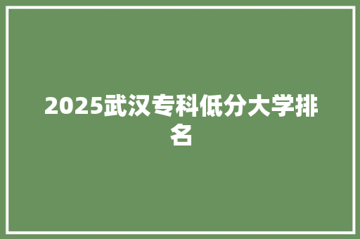 2025武汉专科低分大学排名