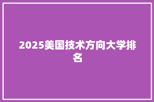 2025美国技术方向大学排名