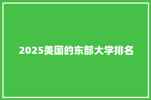 2025美国的东部大学排名