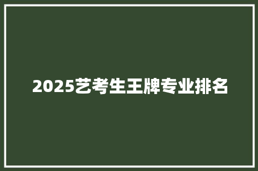 2025艺考生王牌专业排名 项目报告