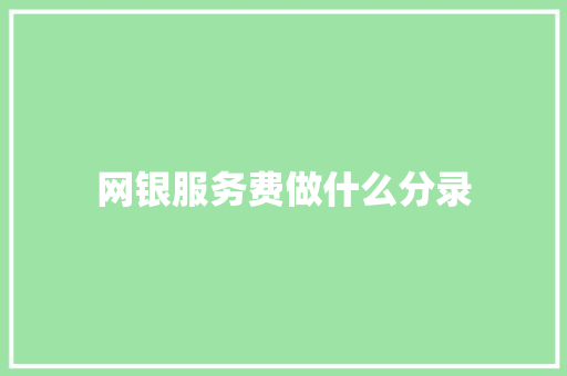网银服务费做什么分录