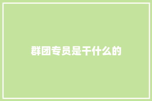 群团专员是干什么的