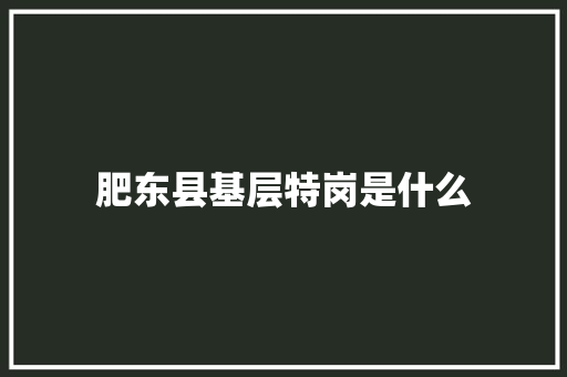 肥东县基层特岗是什么