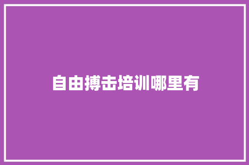 自由搏击培训哪里有