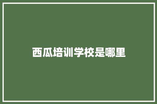 西瓜培训学校是哪里