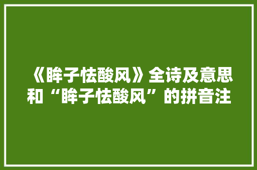 《眸子怯酸风》全诗及意思和“眸子怯酸风”的拼音注释