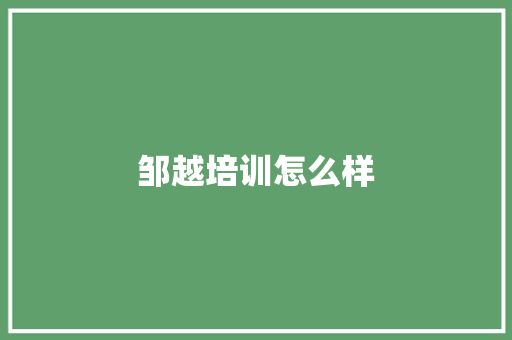 邹越培训怎么样