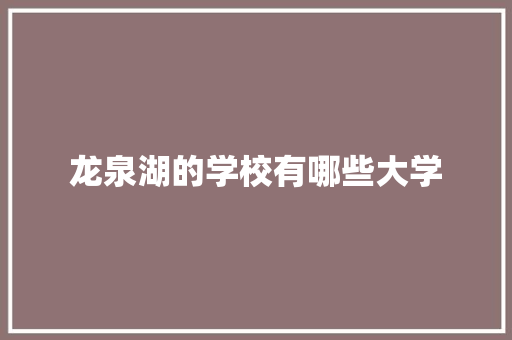 龙泉湖的学校有哪些大学
