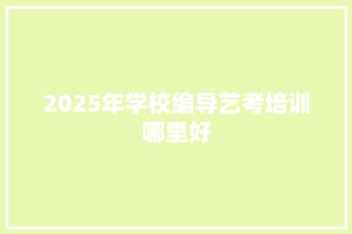 2025年学校编导艺考培训哪里好