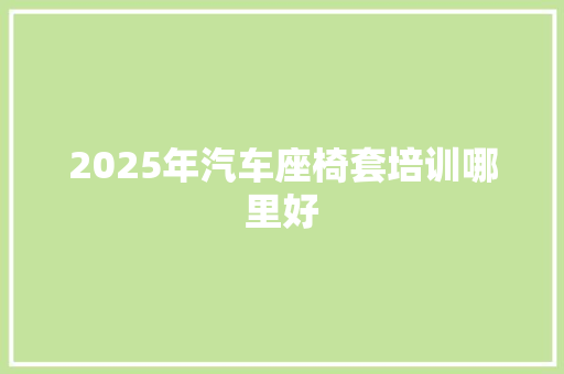 2025年汽车座椅套培训哪里好