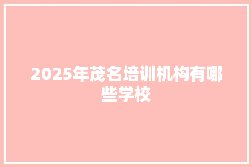 2025年茂名培训机构有哪些学校