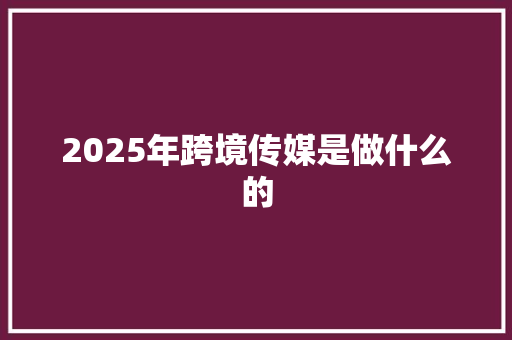 2025年跨境传媒是做什么的
