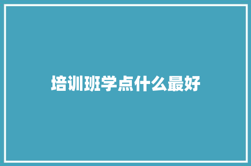 培训班学点什么最好