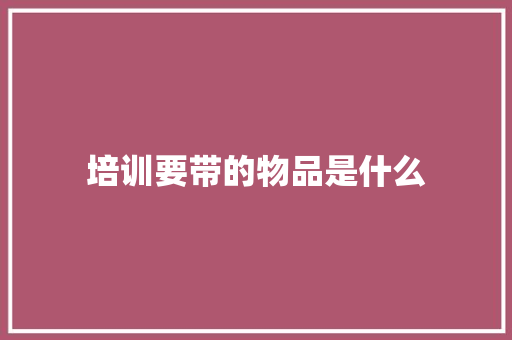 培训要带的物品是什么