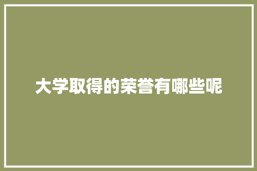 大学取得的荣誉有哪些呢