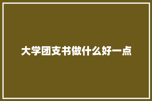 大学团支书做什么好一点