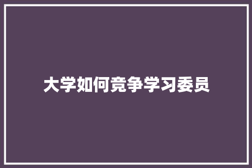 大学如何竞争学习委员