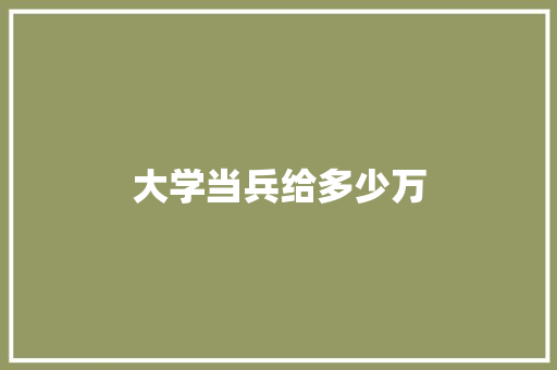 大学当兵给多少万
