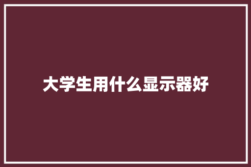 大学生用什么显示器好