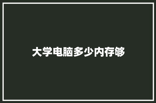 大学电脑多少内存够