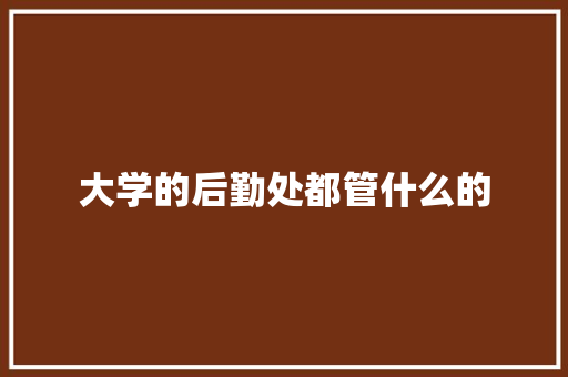 大学的后勤处都管什么的