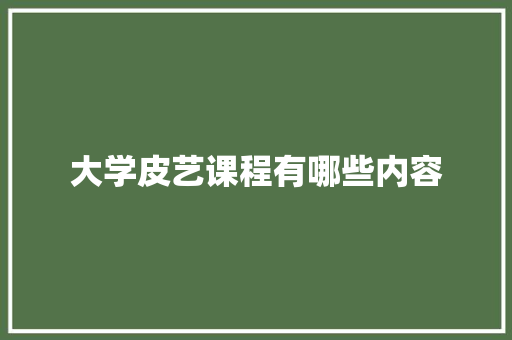 大学皮艺课程有哪些内容
