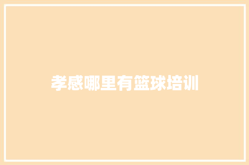 孝感哪里有篮球培训