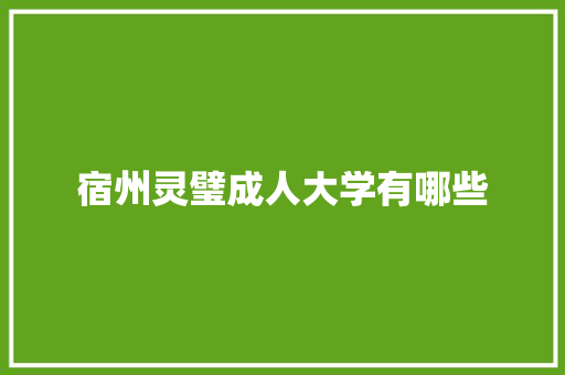 宿州灵璧成人大学有哪些