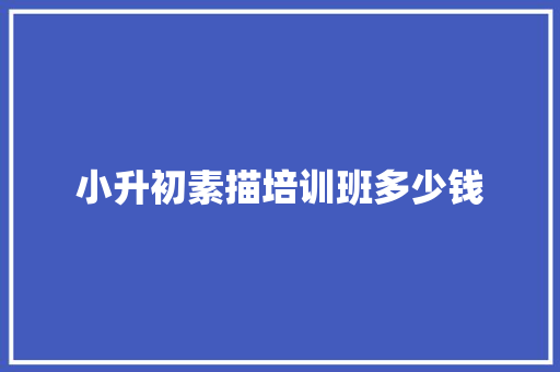 小升初素描培训班多少钱