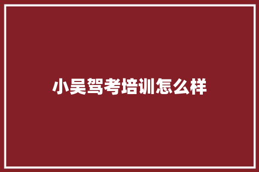 小吴驾考培训怎么样