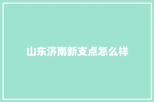 山东济南新支点怎么样