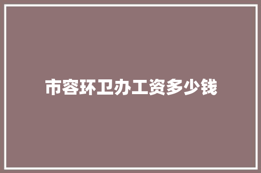 市容环卫办工资多少钱