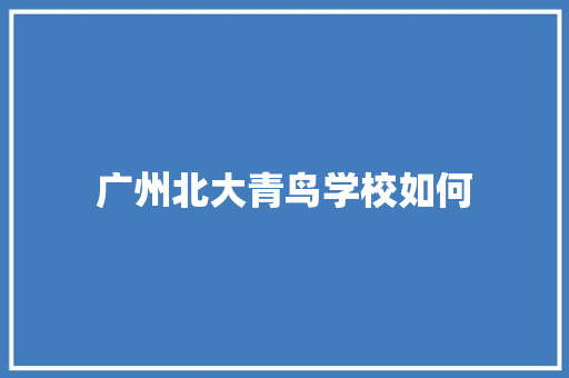 广州北大青鸟学校如何