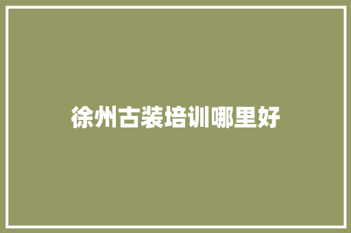 徐州古装培训哪里好
