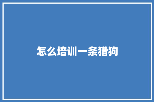 怎么培训一条猎狗
