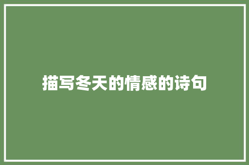 描写冬天的情感的诗句