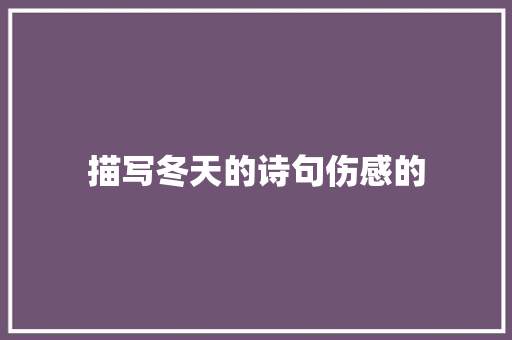 描写冬天的诗句伤感的