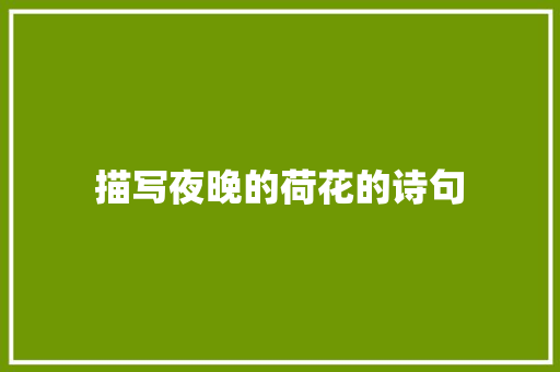 描写夜晚的荷花的诗句