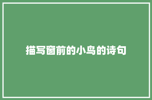 描写窗前的小鸟的诗句