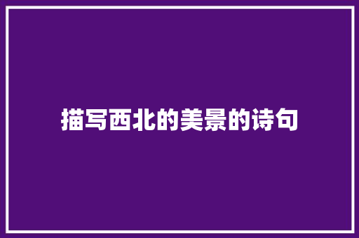 描写西北的美景的诗句