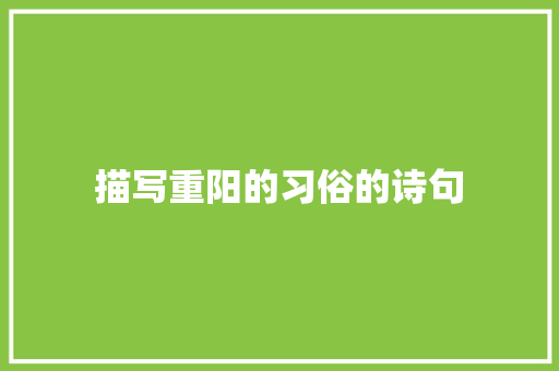 描写重阳的习俗的诗句