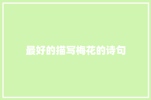 最好的描写梅花的诗句