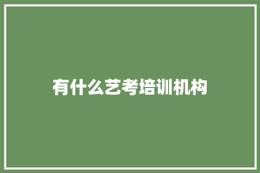 有什么艺考培训机构