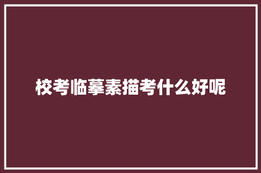 校考临摹素描考什么好呢