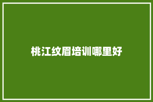 桃江纹眉培训哪里好