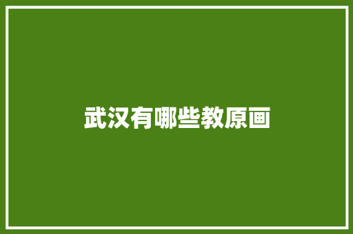 武汉有哪些教原画